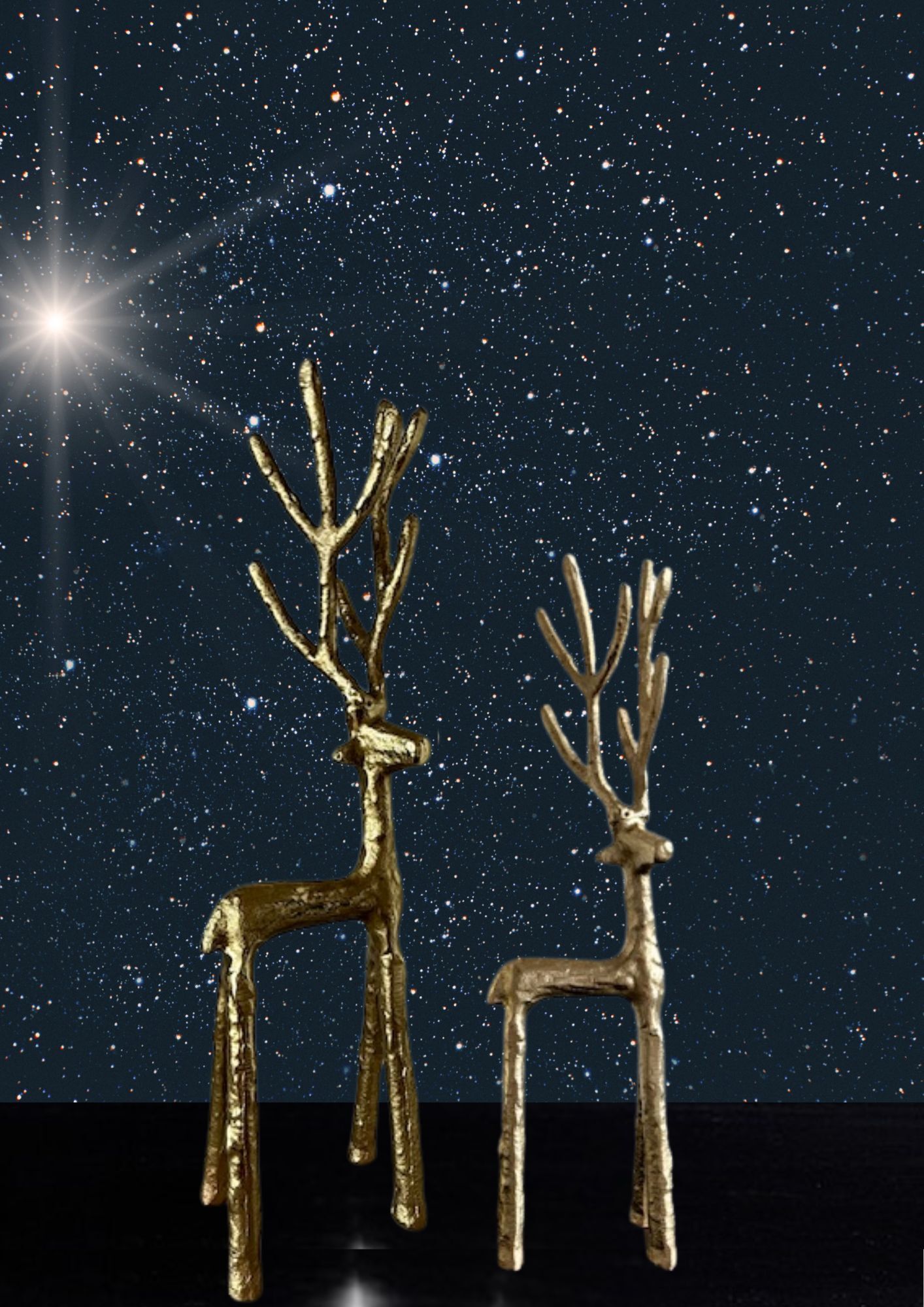 Santas Reindeer Pranzer grand